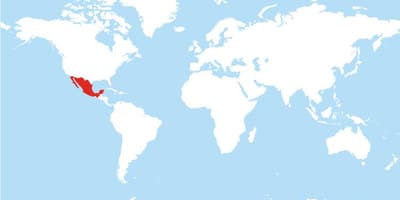 Mapu Mexika globálne