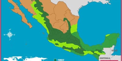 Mapu Mexika lesy