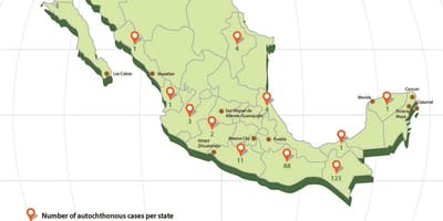 Zika Mexiko mapu